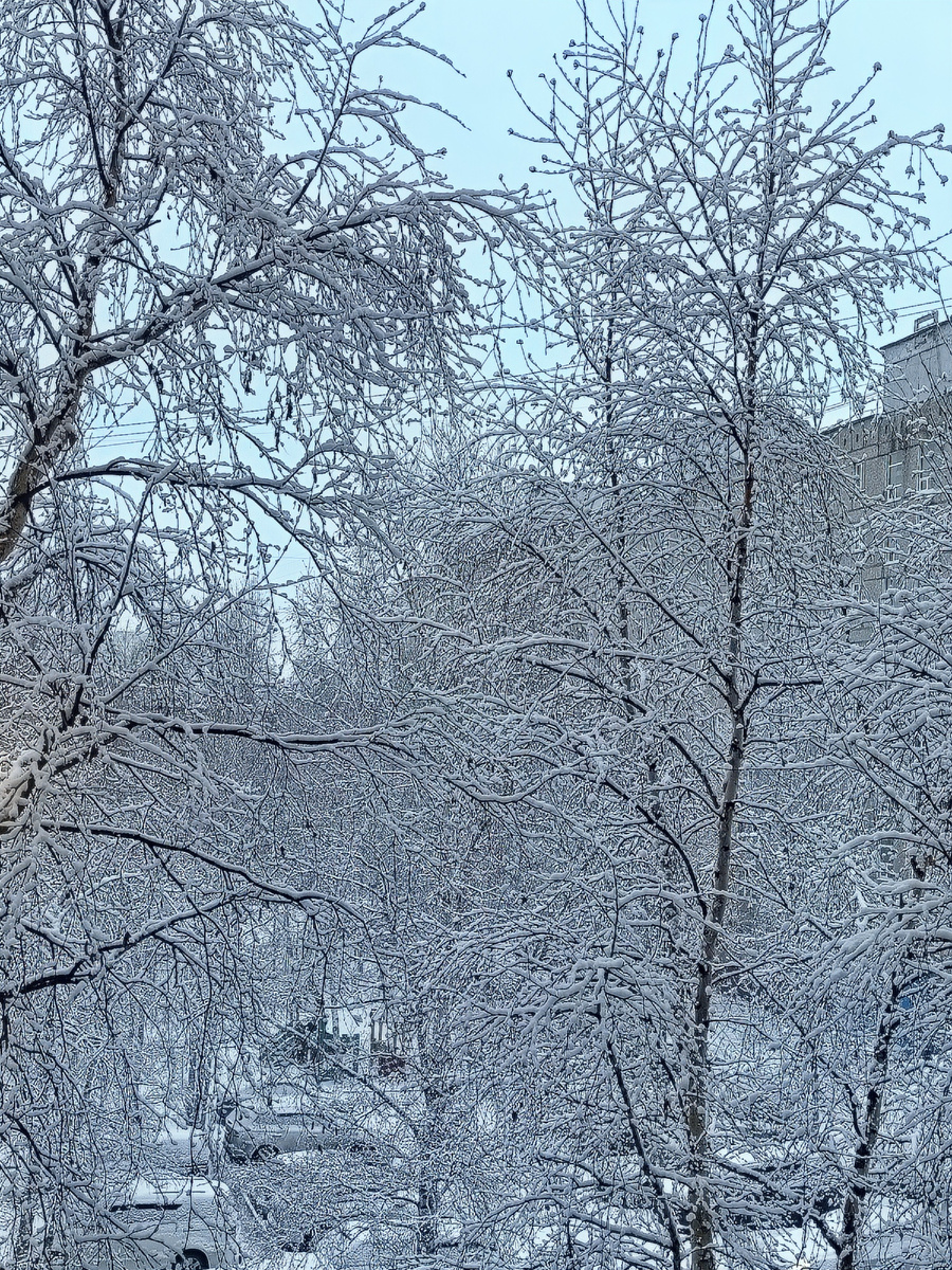 Сегодня я испытала восторг при виде этого пейзажа из окна 😂