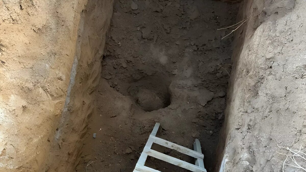     Источник: ГУ МЧС по Волгоградской области