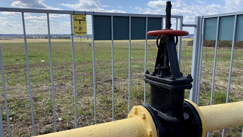    Автор фото: Юрий Бунин/ТАСС