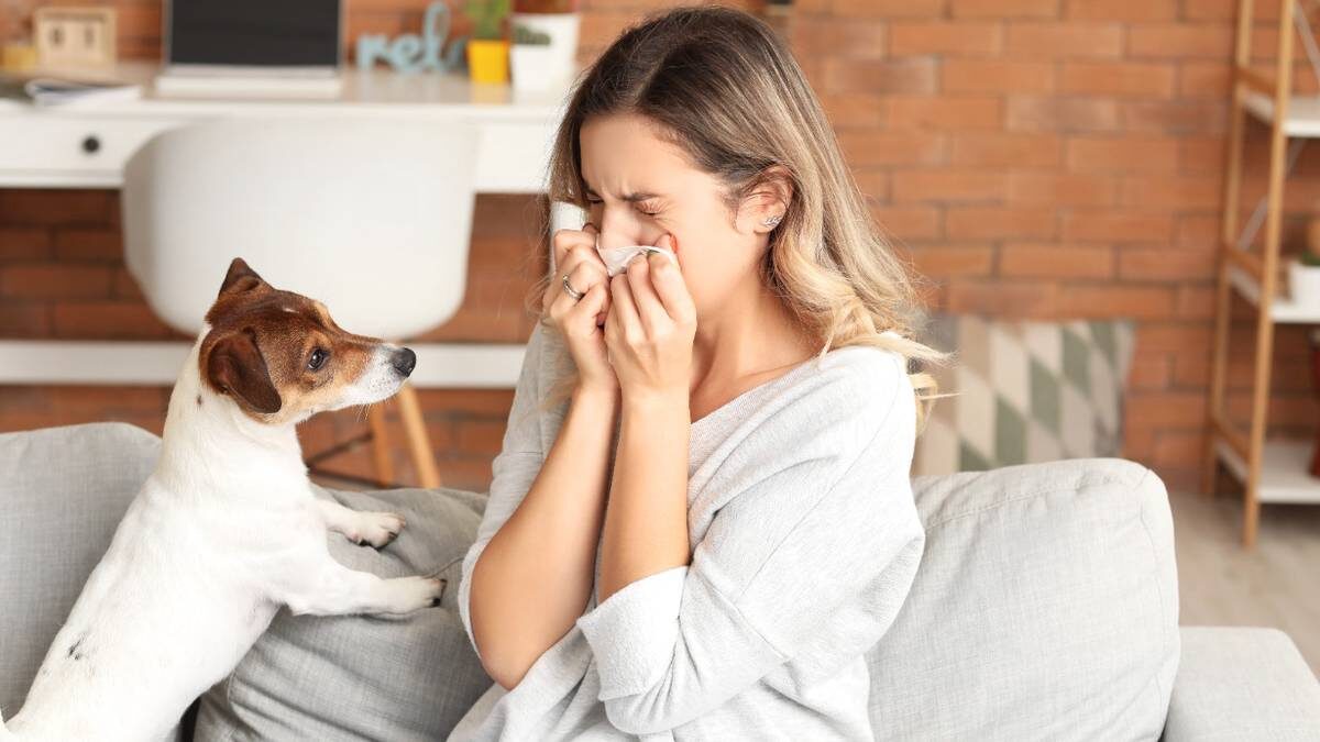    Фото: Shutterstock