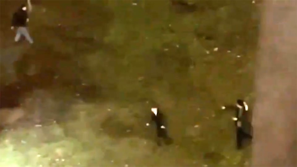 Фото: скриншот видео 