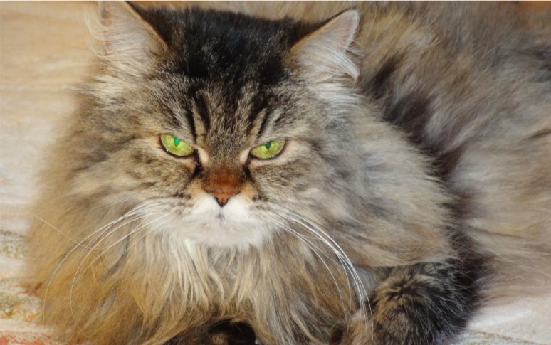 У Степана бывает разное настроение