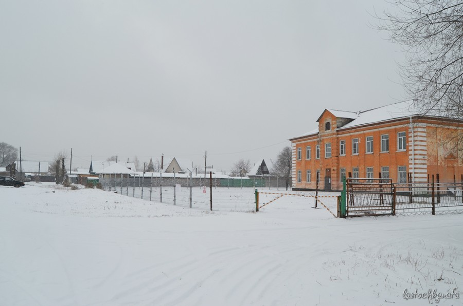 9 ноября 2024 года