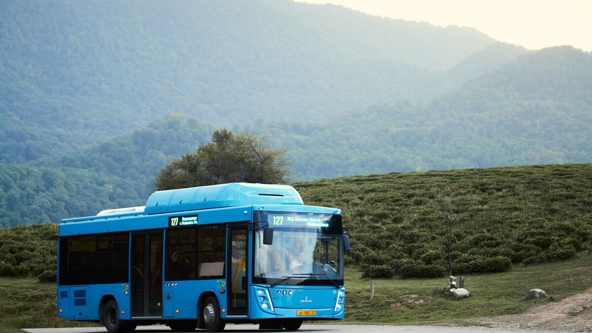    Фото: пресс-служба администрации города Сочи