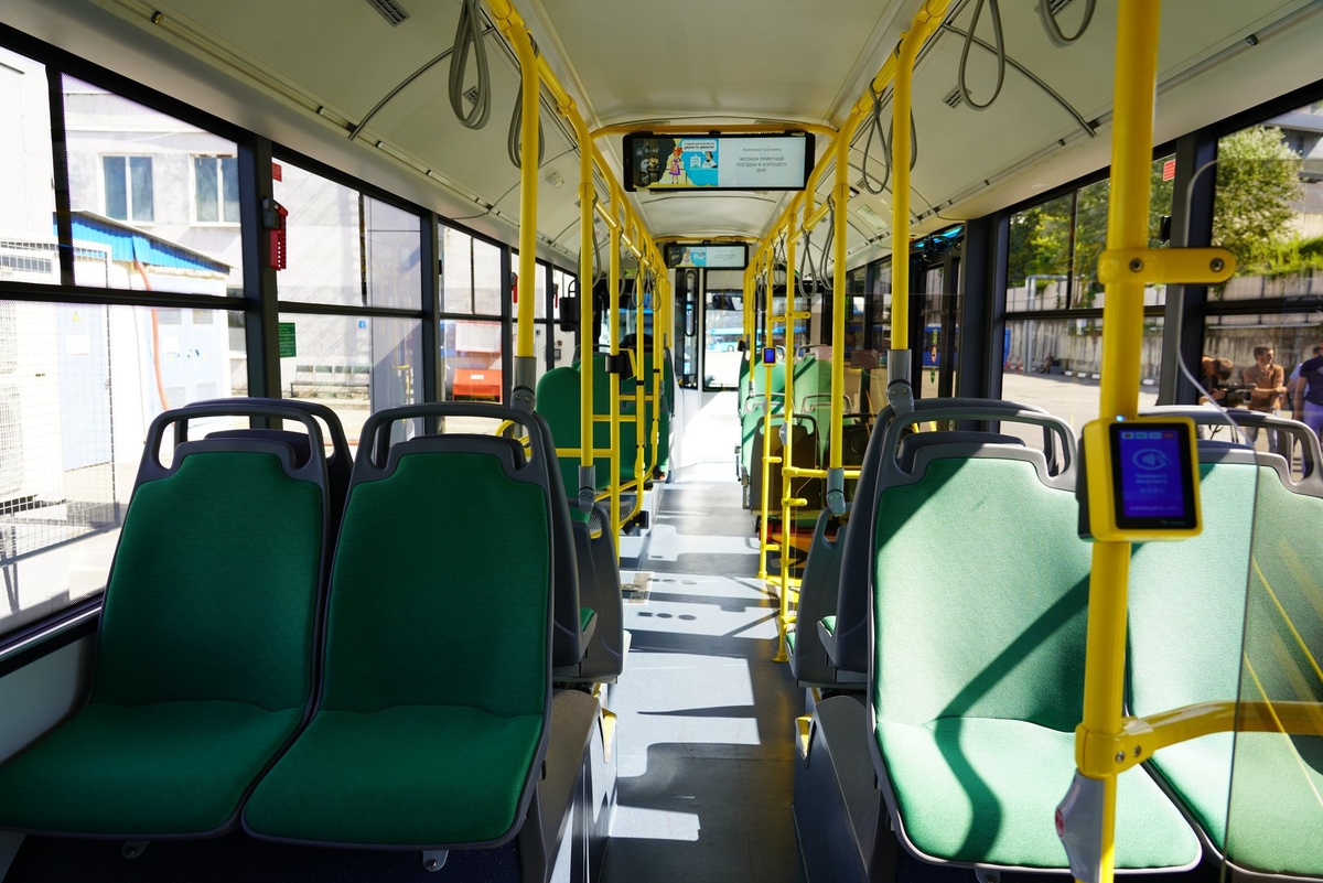    Фото: Telegram/Сочи Официальный