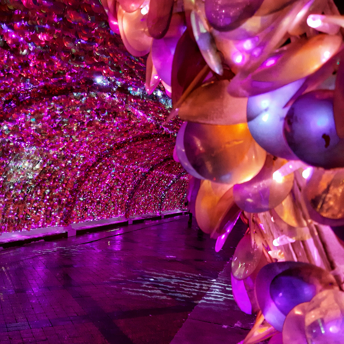 Световой тоннель на Никитском бульваре. Москва. 2024 год.