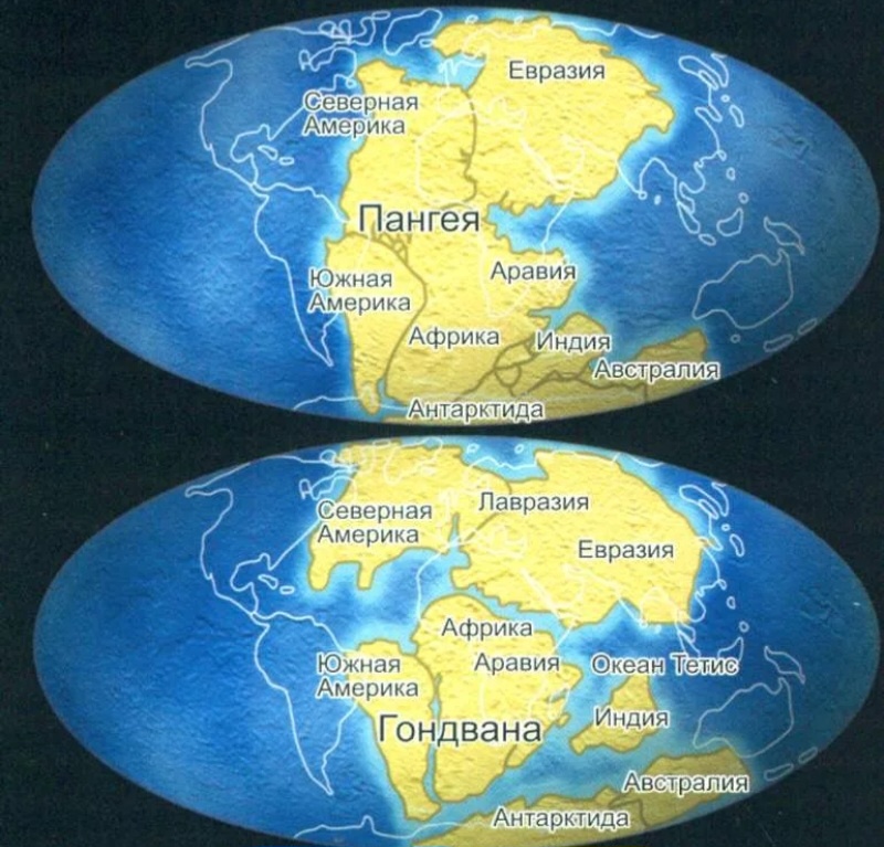 Вот так выглядело расползание Пангеи  на материки в течение многих миллионов лет..