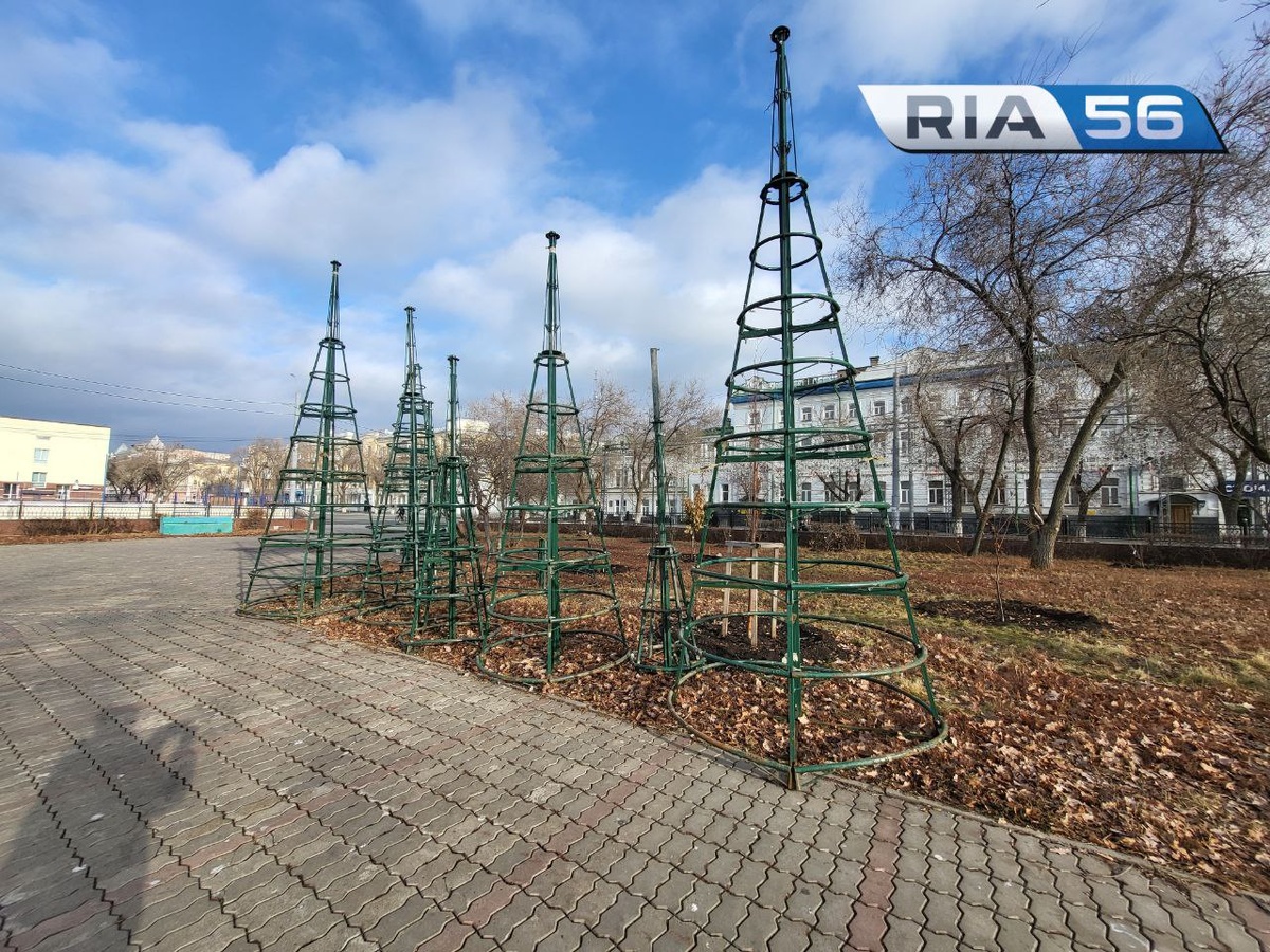 📷    В Оренбурге на площади Ленина появились первые новогодние ёлки Андрей Севостьянов