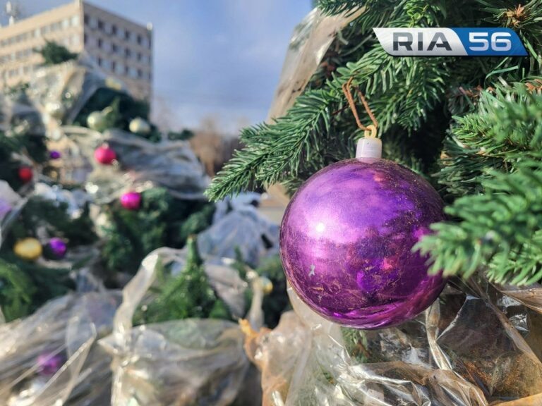    В Оренбурге на площади Ленина появились первые новогодние ёлки Андрей Севостьянов