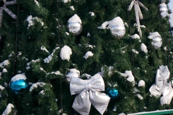    Фото: Олег Серебрянский