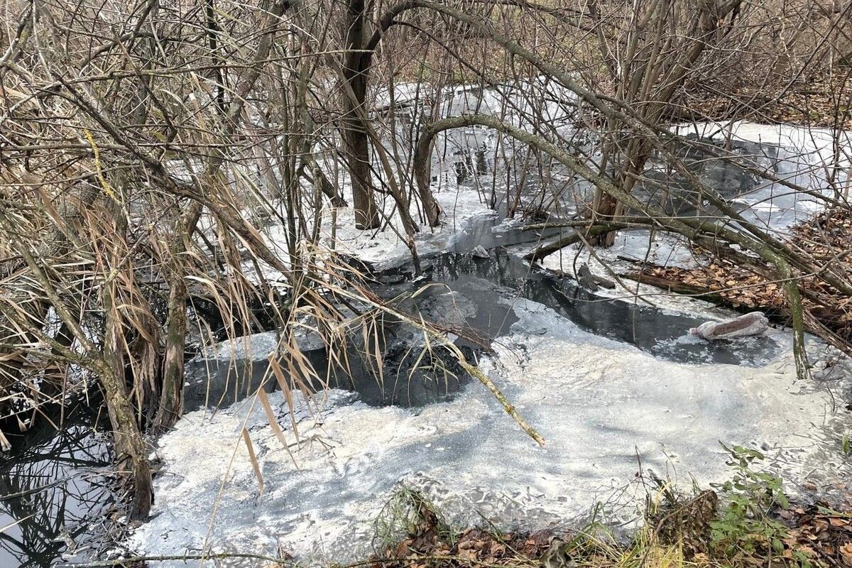 Фото: ТРОО «Экологическая защита»