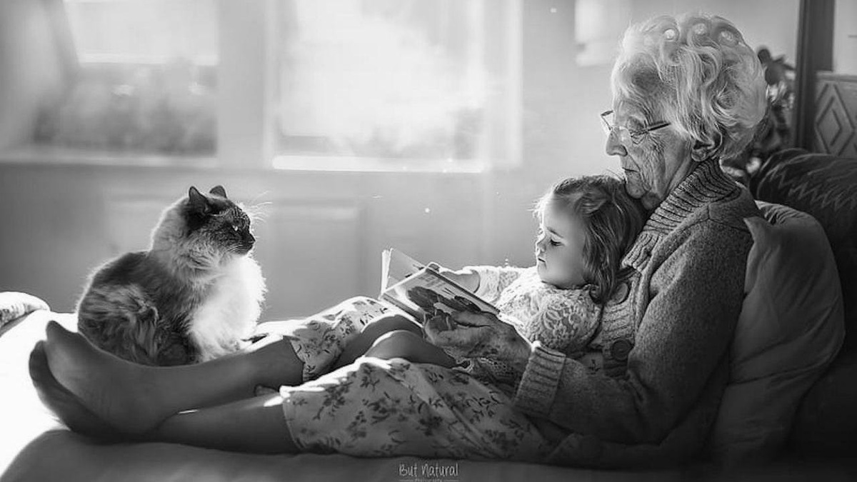 Фото из свободных источников.