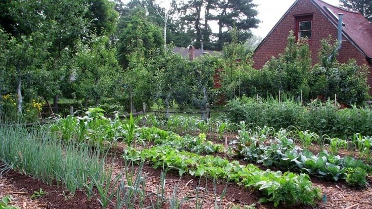 Фото с pinterest.com