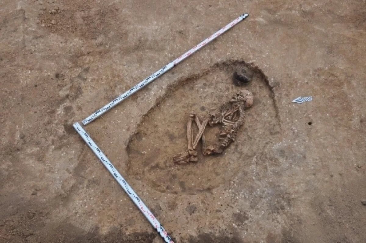    Скелеты времён Бронзового века нашли во время стройки под Ростовом