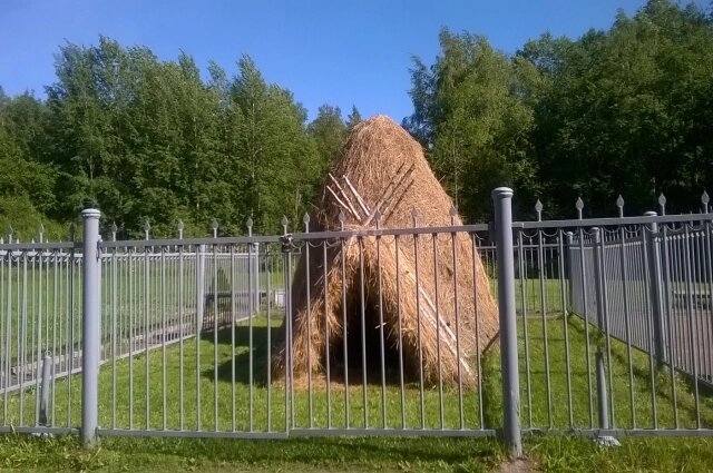    Фото: АиФ-Петербург/ Марина Константинова