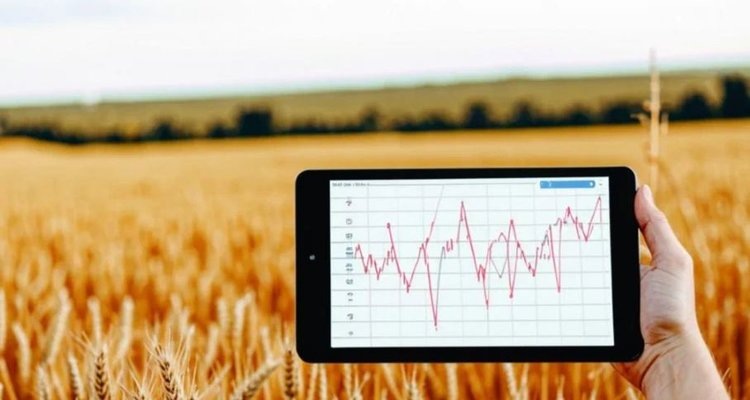    Более 220 млн карт почвенного здоровья получат индийские фермеры