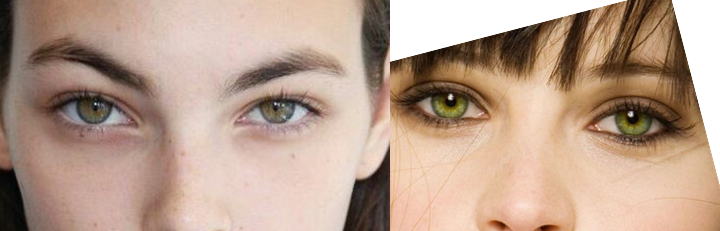 Виторио Черетти и Фелиста Джонс