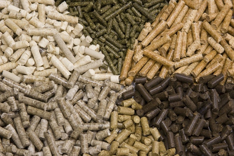 На фото: гранулированный корм