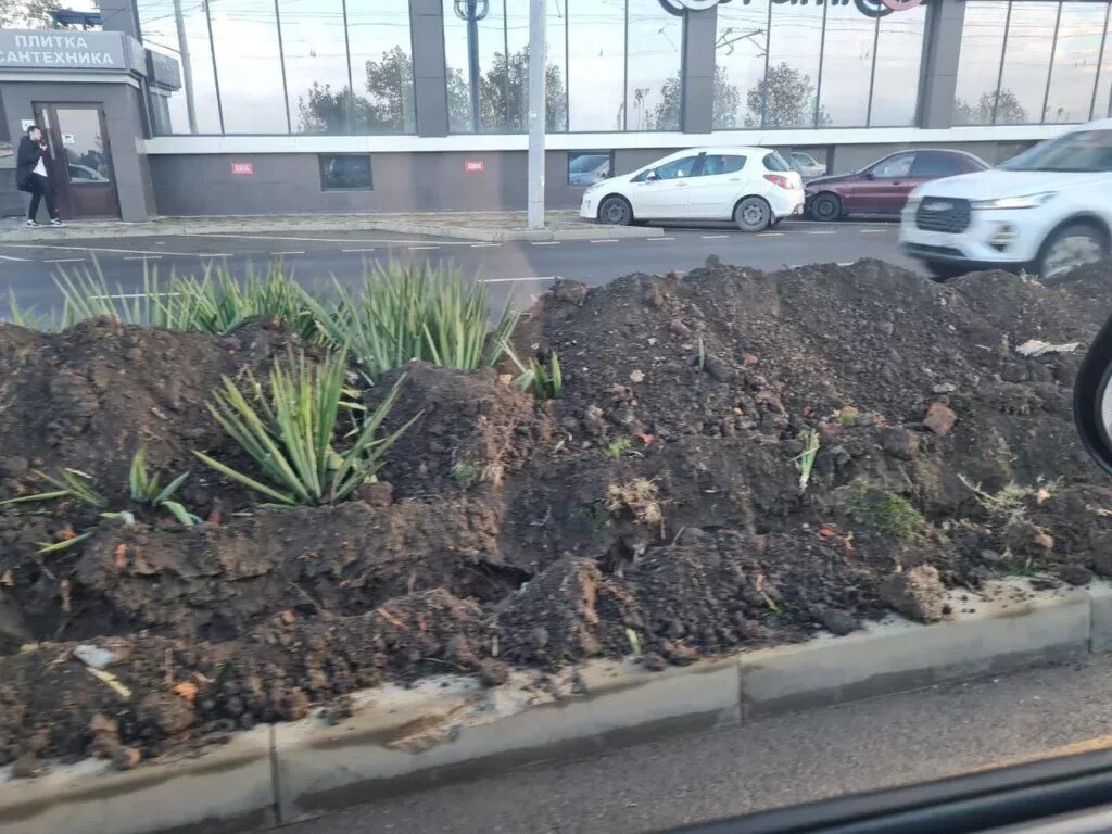 Перекопанные газоны.