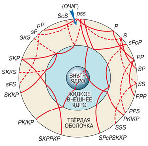      Вариант распространения сейсмоволн    внутри Земли.