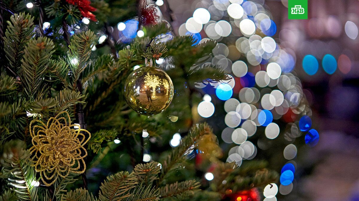    Фото: РИА Новости © 2024, Алексей Даничев