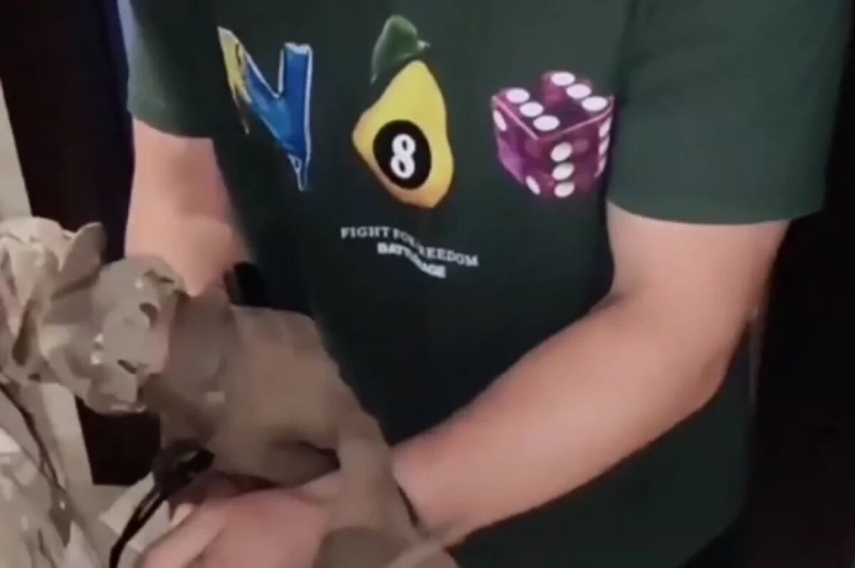    Опубликовано видео задержания главы диаспоры в Тверской области