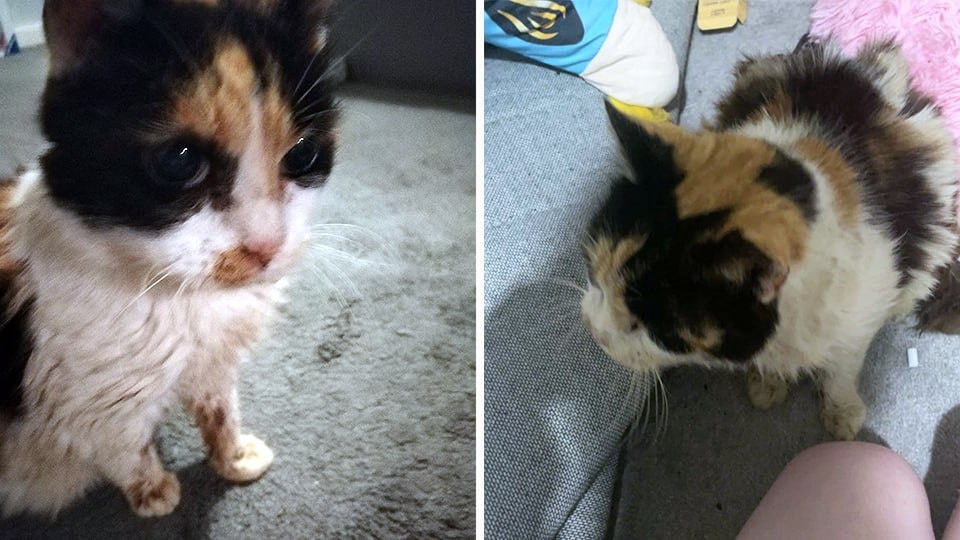 Фото: Facebook*/Janine Yarnell