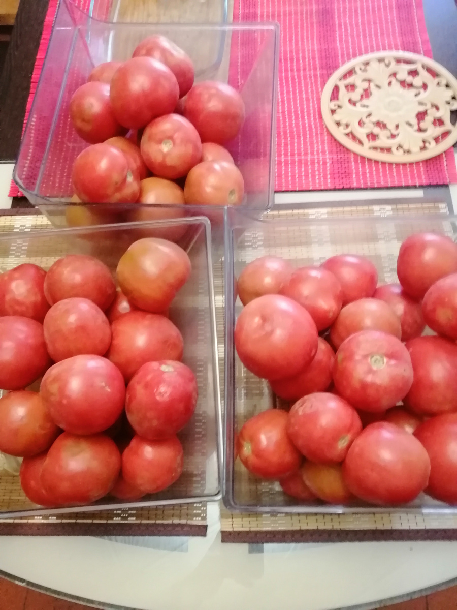 Помидоры которые покраснели.