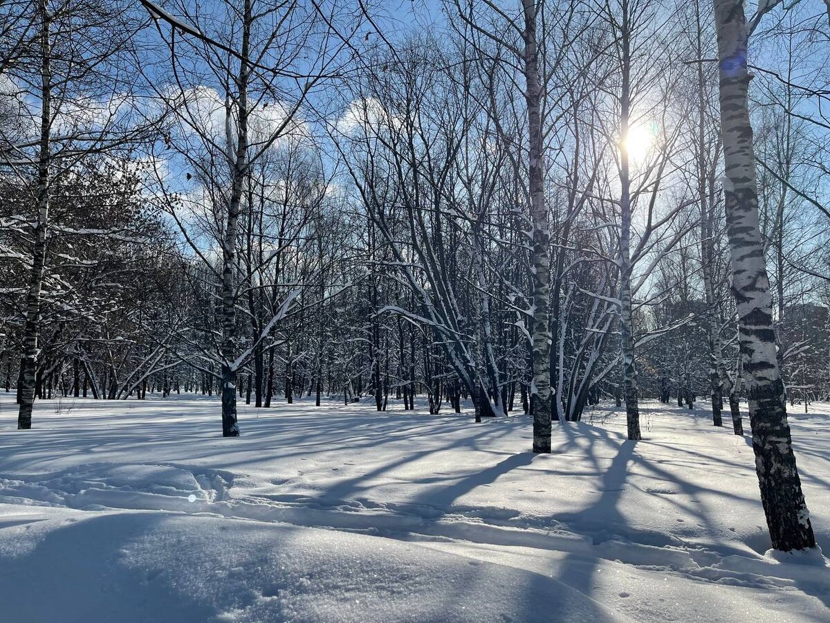 Красивое зимнее утро