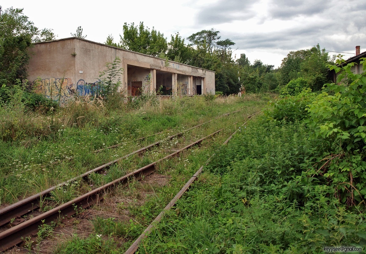 Из открытого доступа