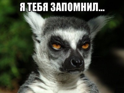    Чат-бот Google Gemini научился запоминать пользователей