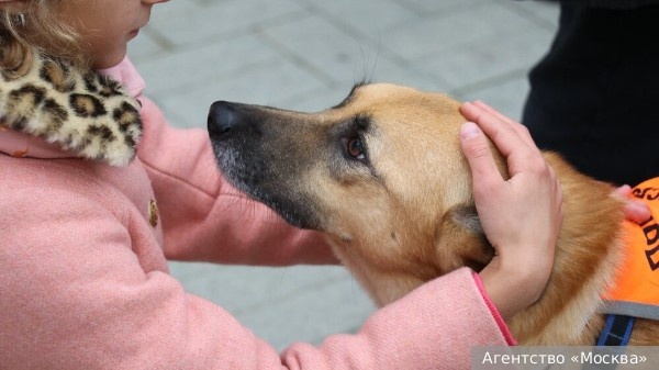     Фото: Агентство «Москва»   
 Текст: Ольга Никитина