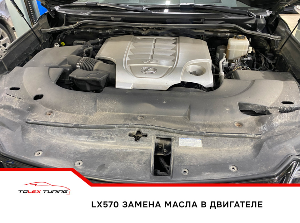 Lexus LX570 замена масла в двигателе