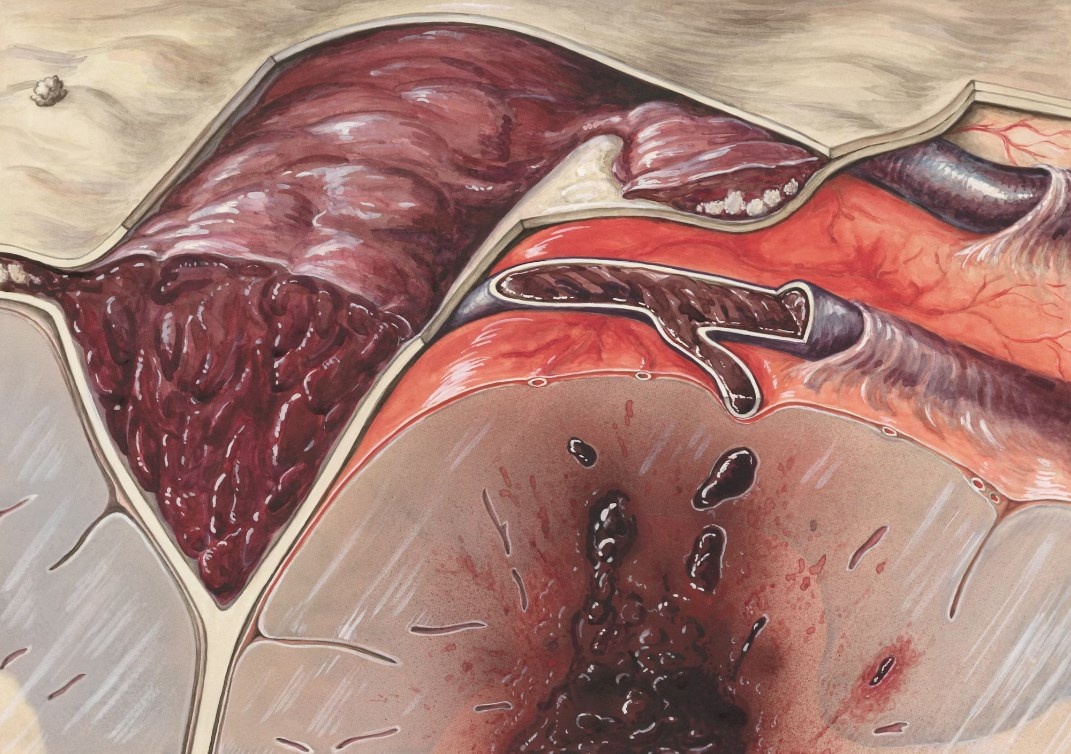 Фото unsplash.com