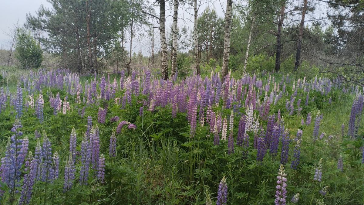 Фото Татьяны Руденко