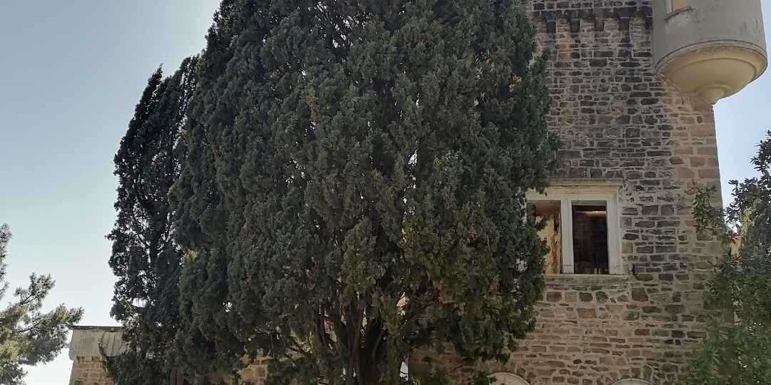 Фотосет, песня, клип "Ангелы, прошу прощения". (Или Как это было)