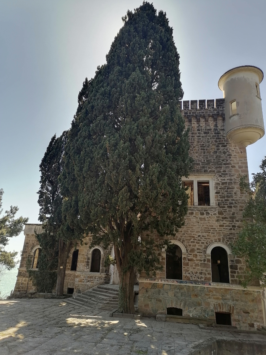 Дача Квитко. Фото Натали Миллер. 