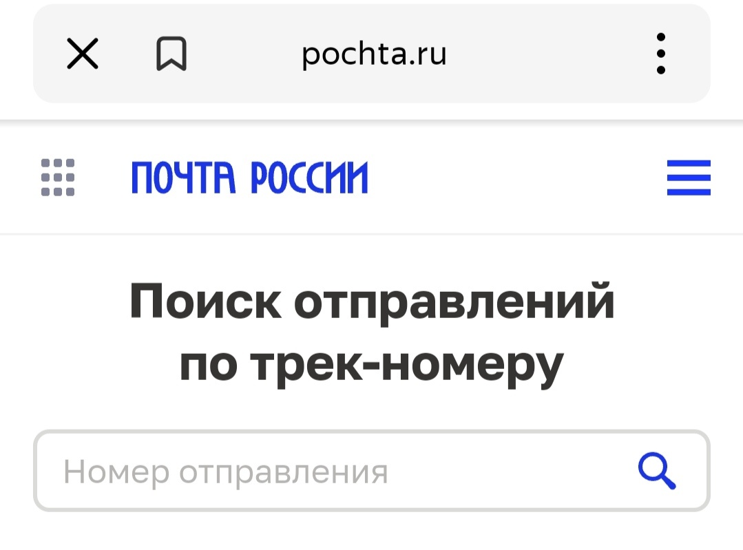 Официальный сайт Почты России pochta.ru и поисковая строка отправления.