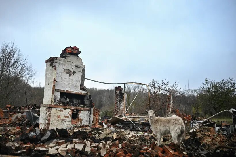     © РИА Новости. Сергей Бобылев