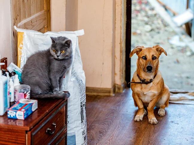 Фото: Павел Колядин