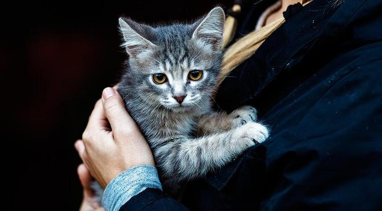 Фото: Павел Колядин