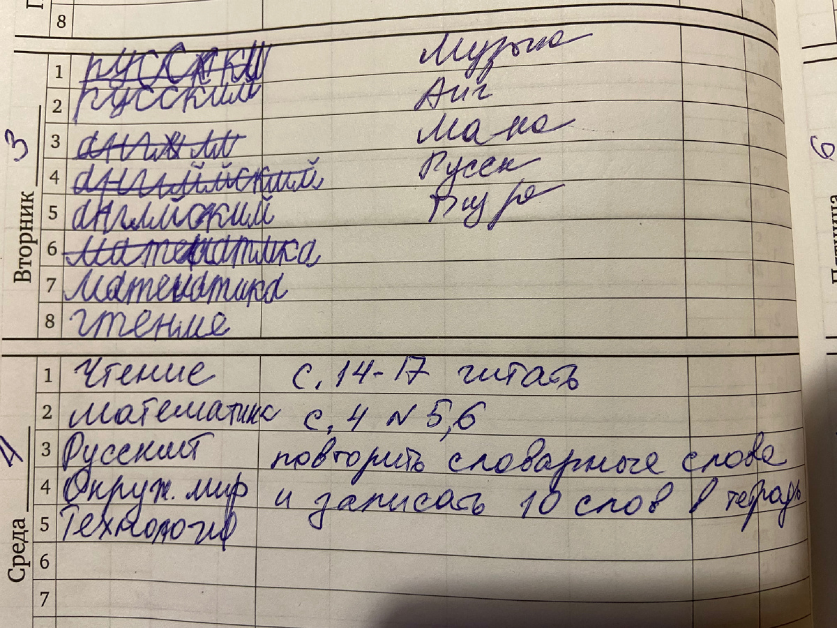 В зачеркнутых словах видна проблема в написании букв. Дневник ведем "для себя"