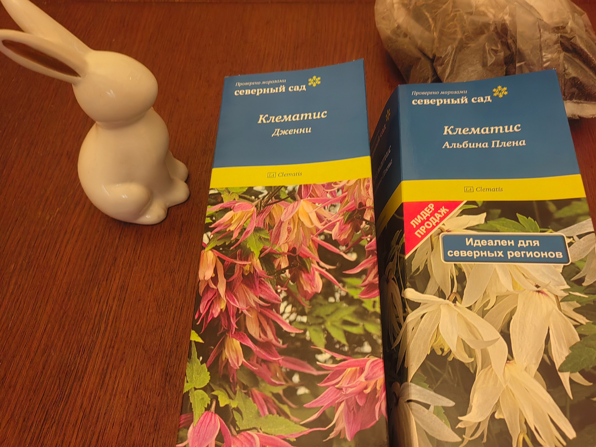 Мои княжики, купленные этой весной. Оба прижились. 