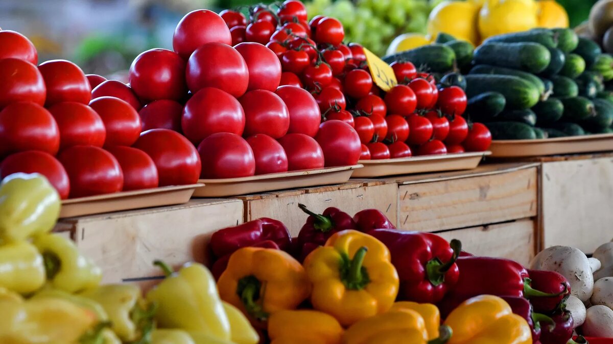 © Sputnik / Константин Михальчевский