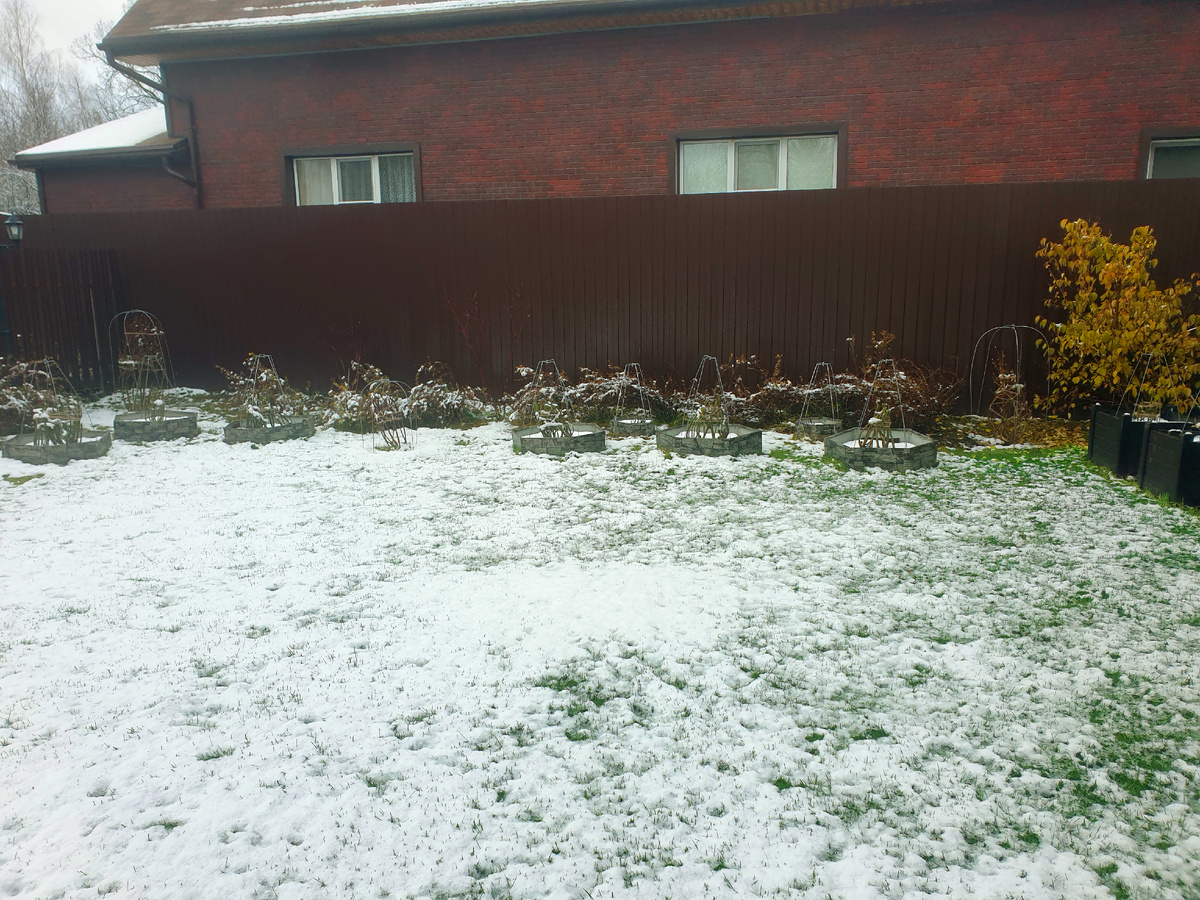 Ноябрь 2024 г.