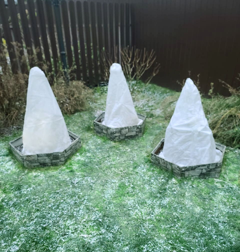 Ноябрь 2023 г.