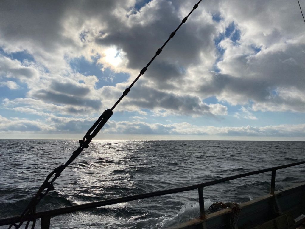    Фото: предоставлены участниками экспедиции. Administrator