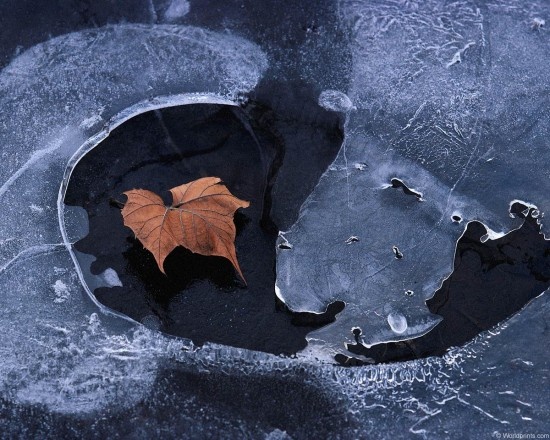    Фото: Управление Департамента ГОЧСиПБ по ЮЗАО