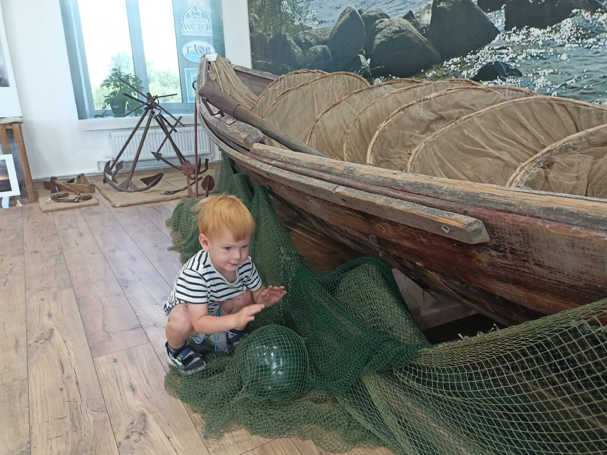 Сетки разбирать -специфический навых озерной местности