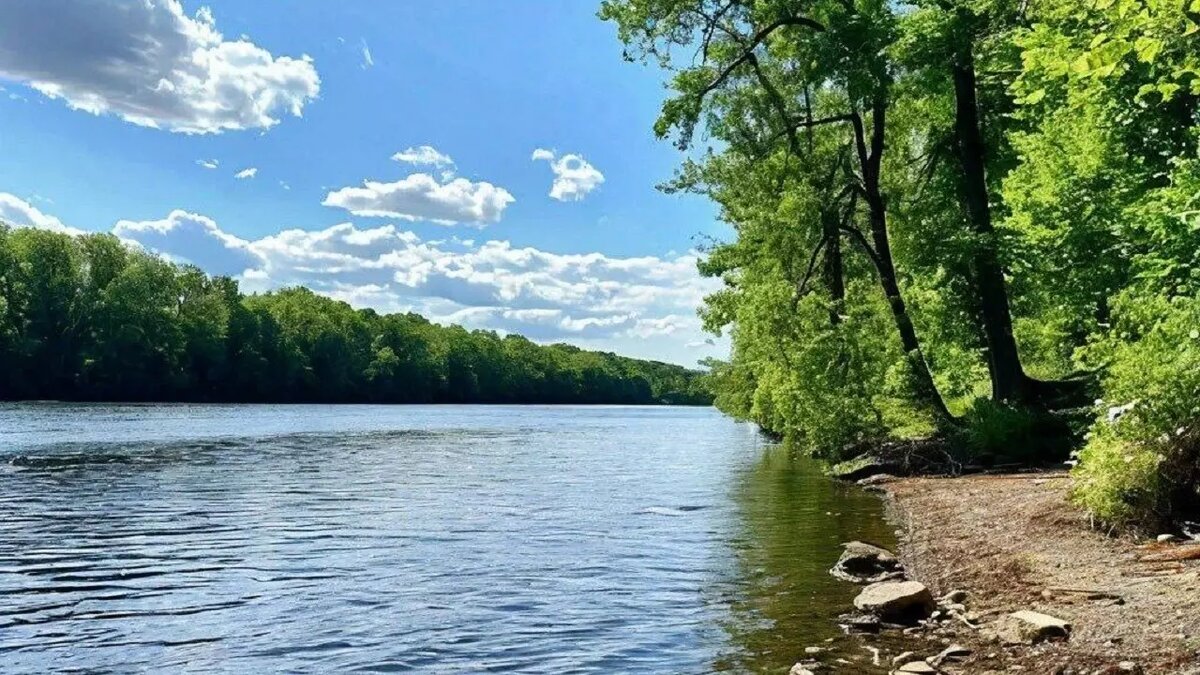     Источник: пресс-служба прокуратуры Удмуртии